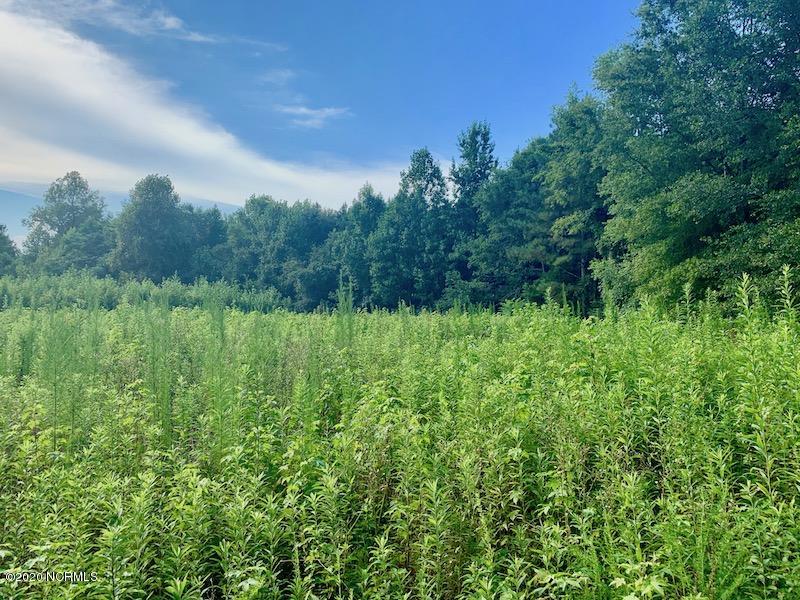 0 Simmons Road Castalia, NC 27816 - Photo 13 of 38 13