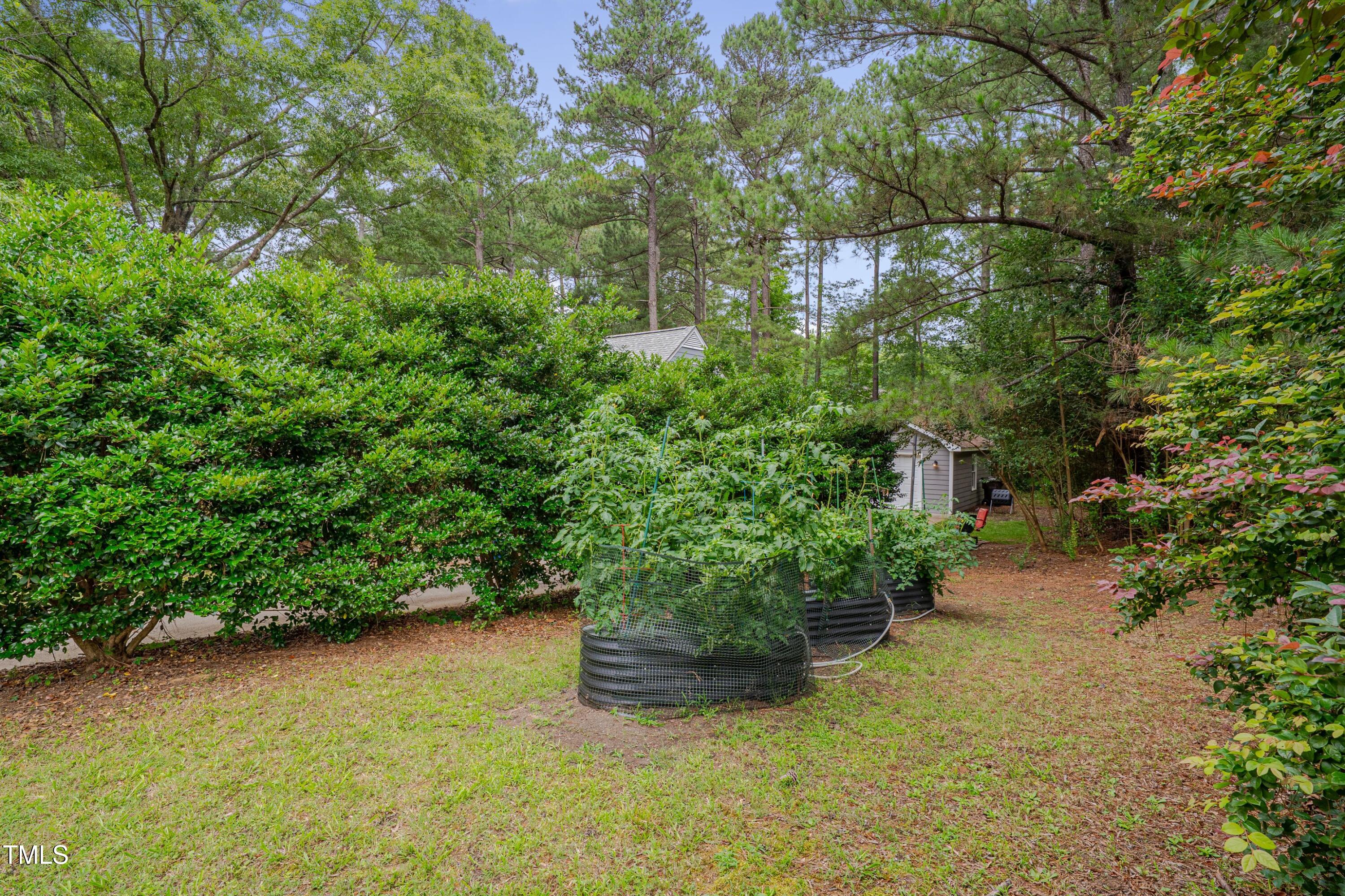 1302 Valley Run Durham, NC 27707 - Photo 4 of 4 Side Yard Garden