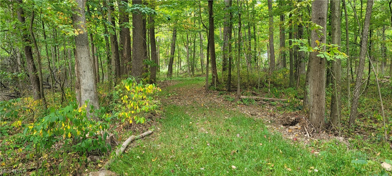 343 County Road Coshocton, OH 43812 - Photo 21 of 49 Gallery Image 21