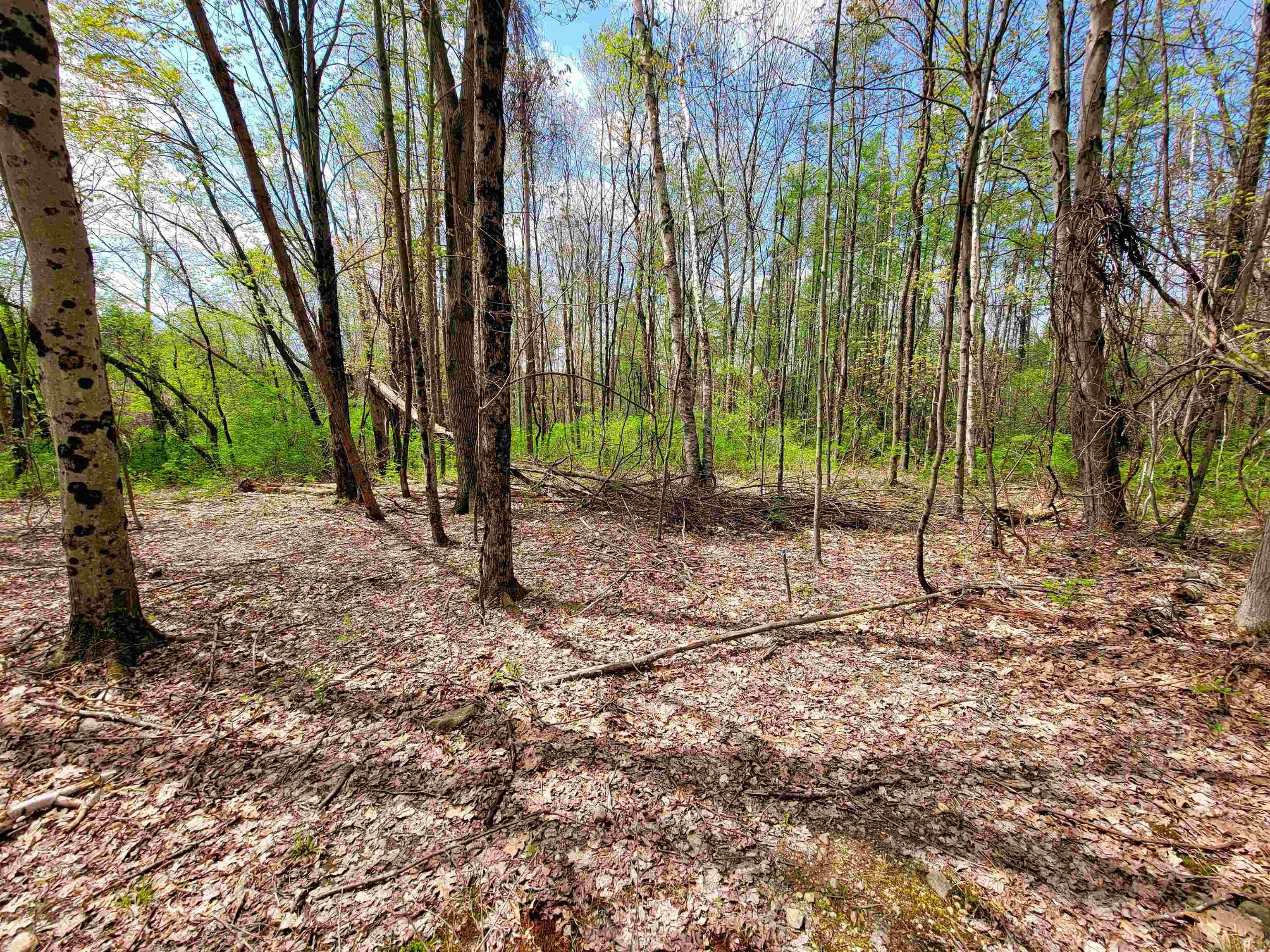 1073 Chapel Road Bennington, VT 05201 - Photo 26 of 60 Gallery Image 26