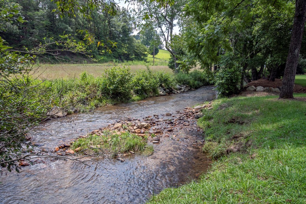 41 Pine Trail Warne, NC 28909 - Photo 3 of 43 a big yard with lots of green space and plants