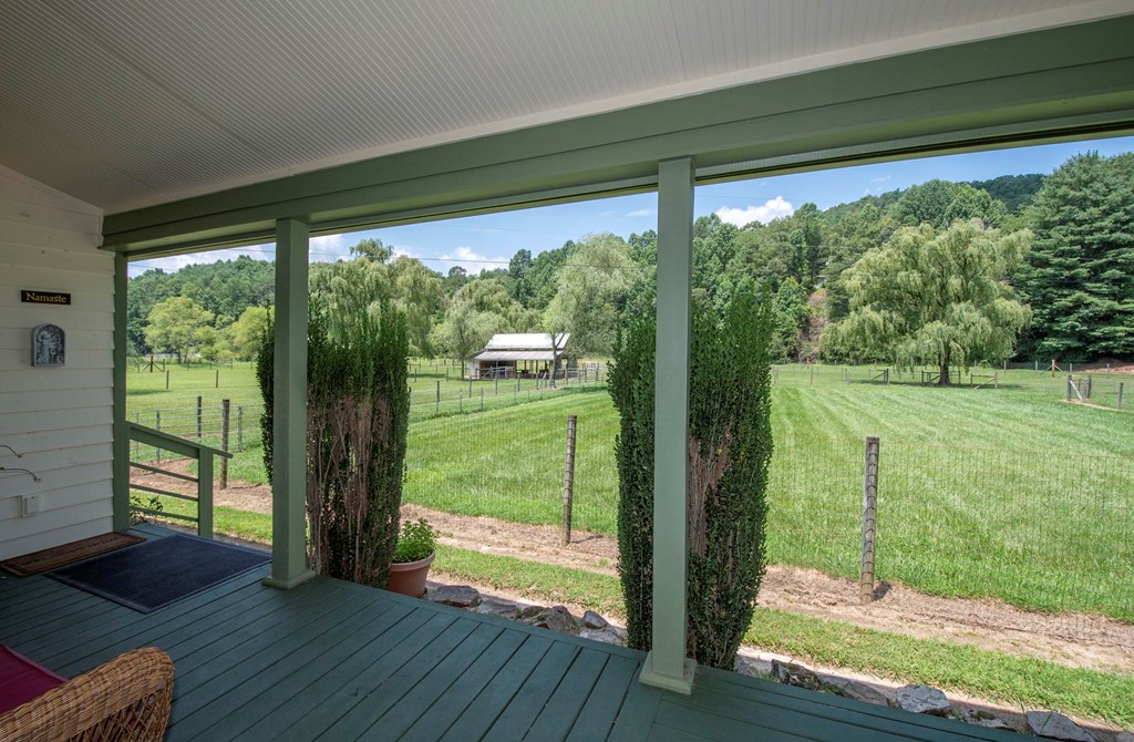 41 Pine Trail Warne, NC 28909 - Photo 36 of 43 a view of backyard from window