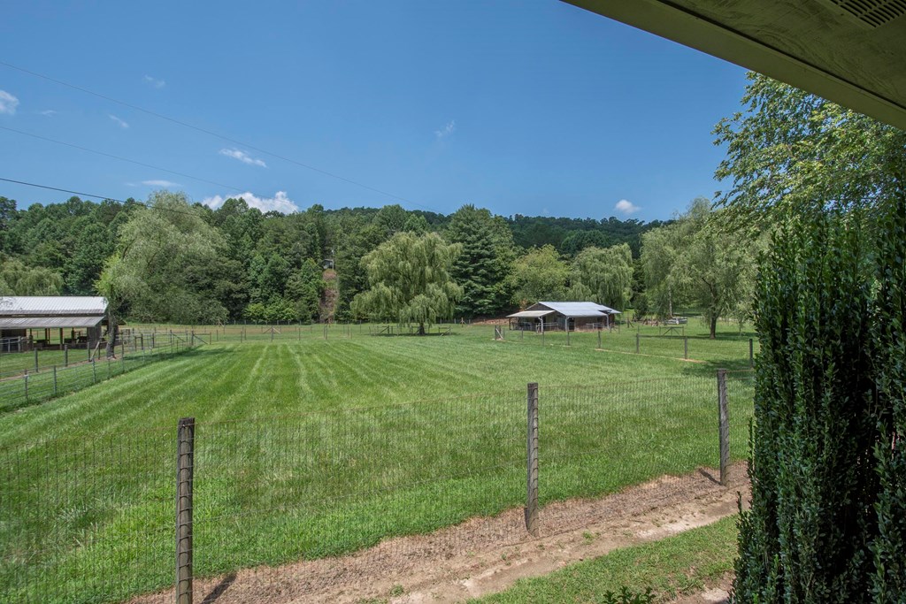 41 Pine Trail Warne, NC 28909 - Photo 6 of 43 a view of a garden with an trees