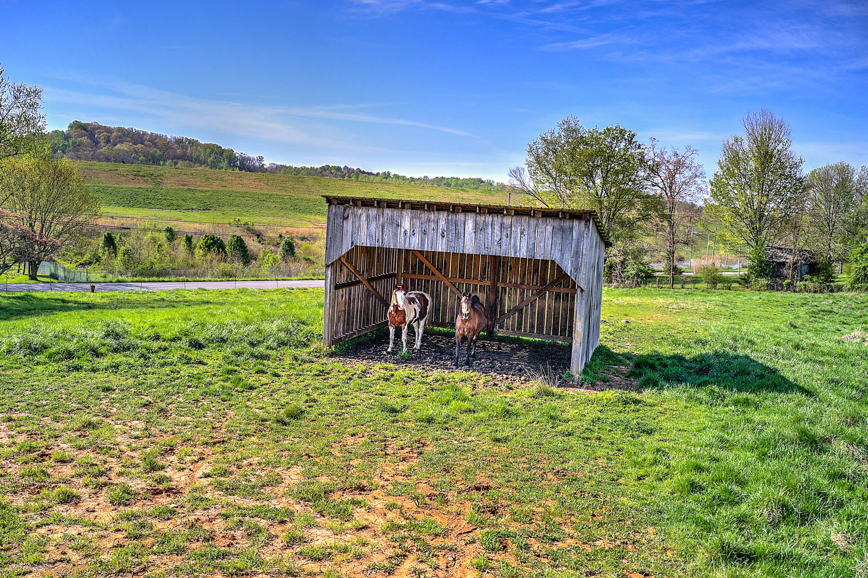 1555 Whitehouse Road Greeneville, TN 37745 - Photo 42 of 57 14