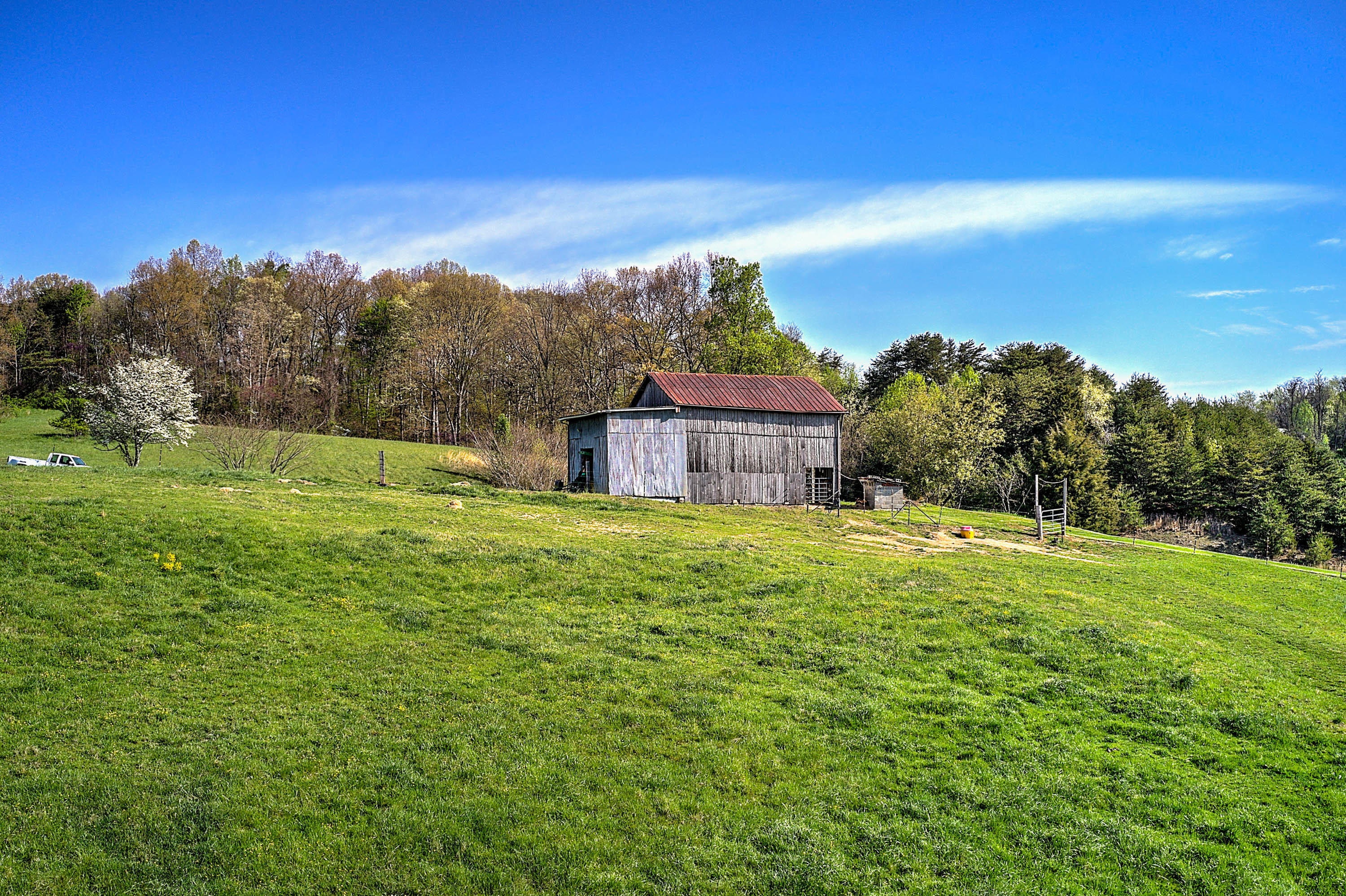 1555 Whitehouse Road Greeneville, TN 37745 - Photo 47 of 57 1555 Whitehouse 4