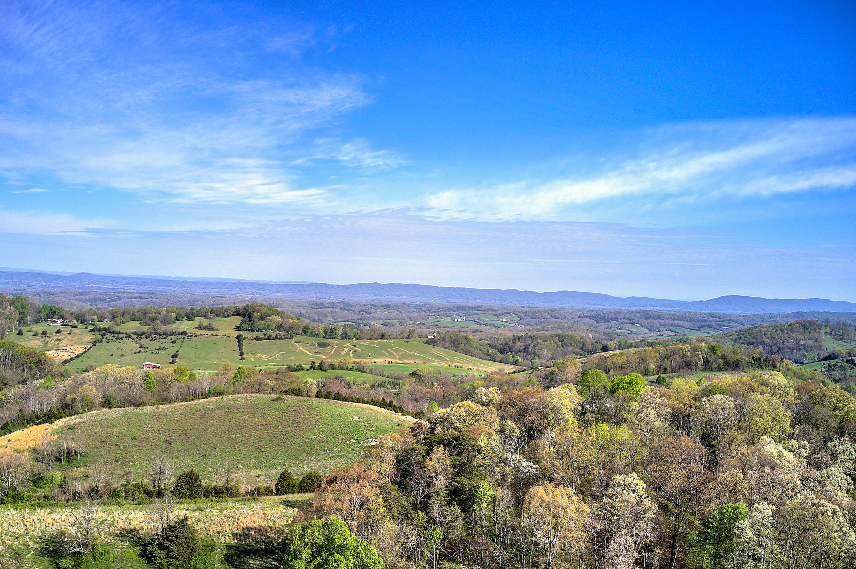 1555 Whitehouse Road Greeneville, TN 37745 - Photo 48 of 57 1555 Whitehouse 5
