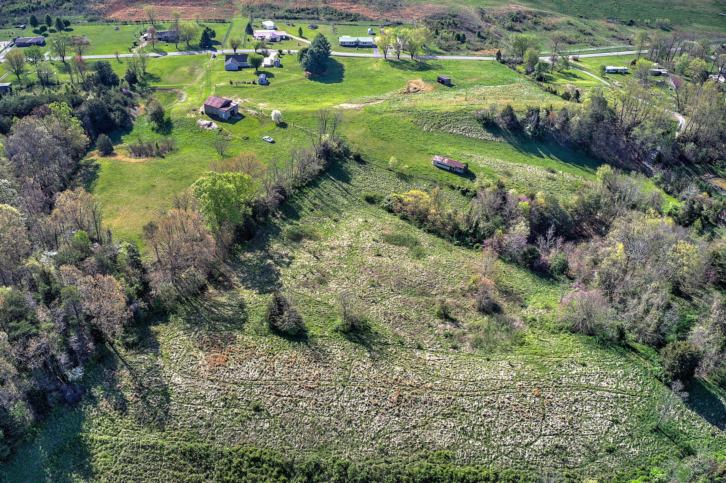 1555 Whitehouse Road Greeneville, TN 37745 - Photo 51 of 57 1555 Whitehouse 8