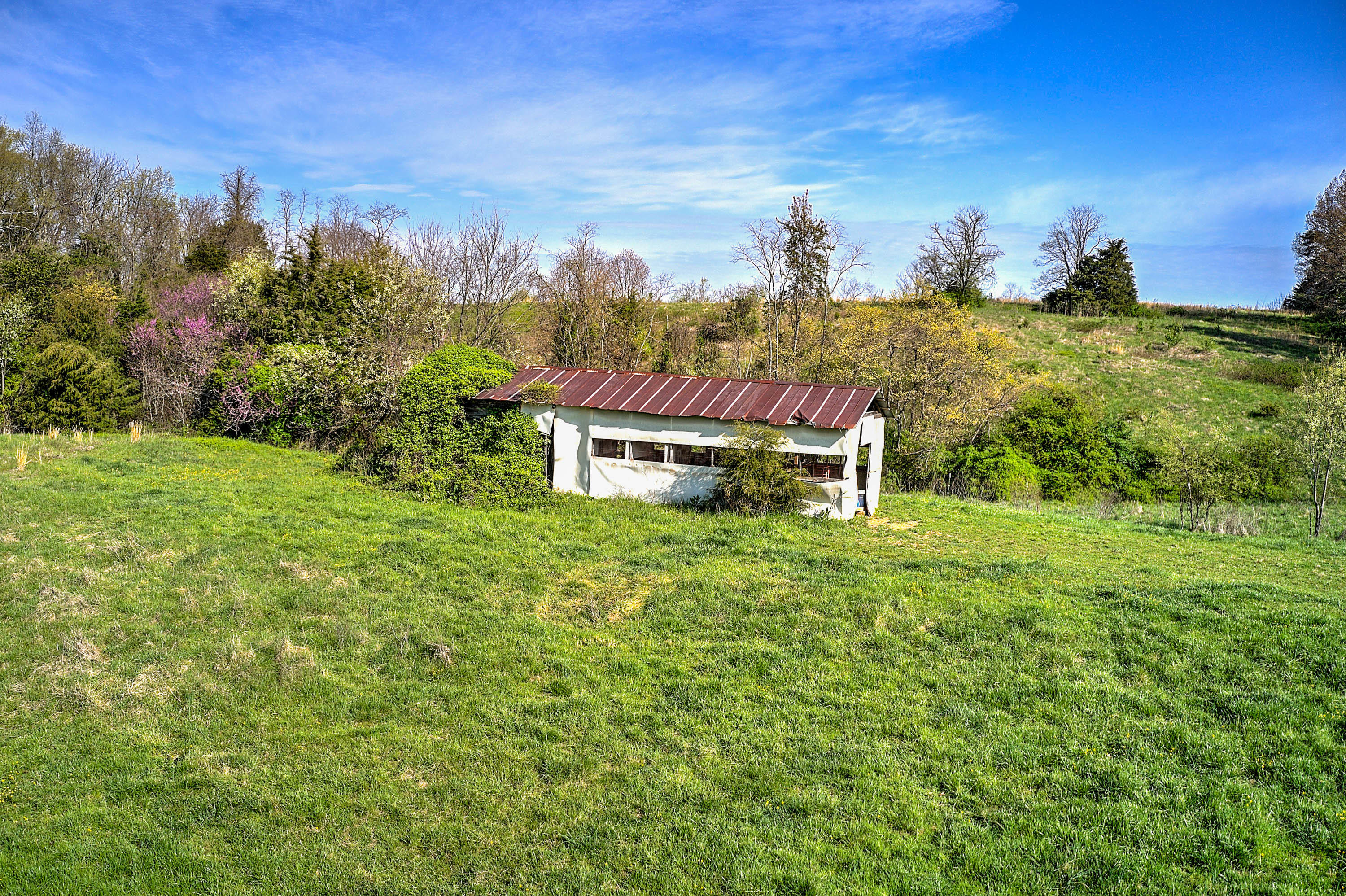 1555 Whitehouse Road Greeneville, TN 37745 - Photo 56 of 57 1555 Whitehouse 12