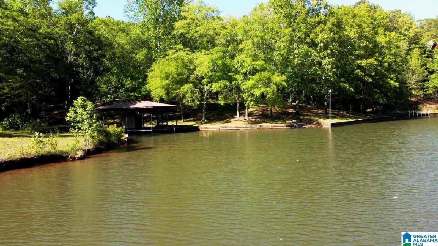 244 County Road 2011 Delta, AL 36258 - Photo 3 of 29