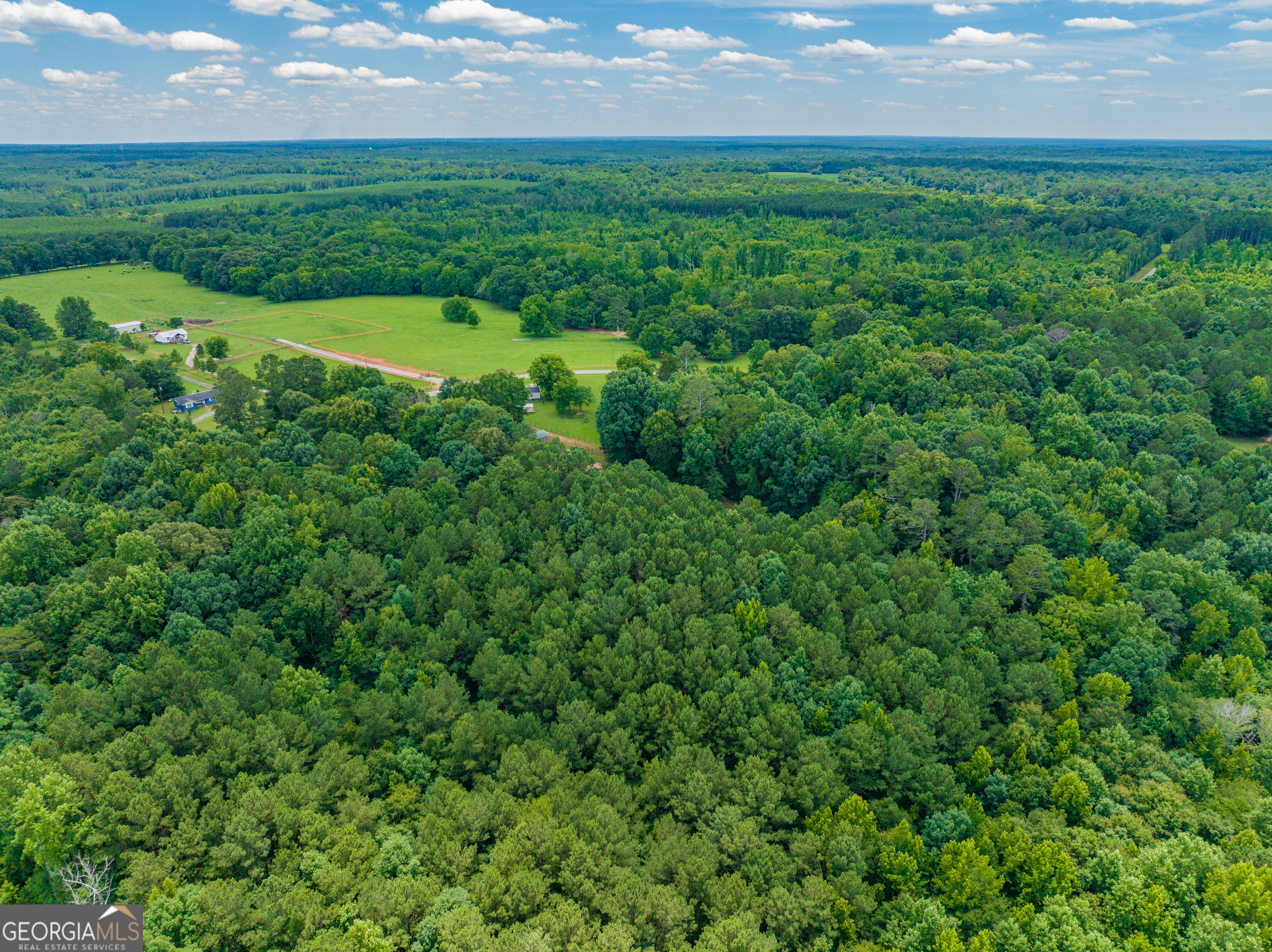 21.4-acres Cochran Road Madison, GA 30650 - Photo 2 of 12