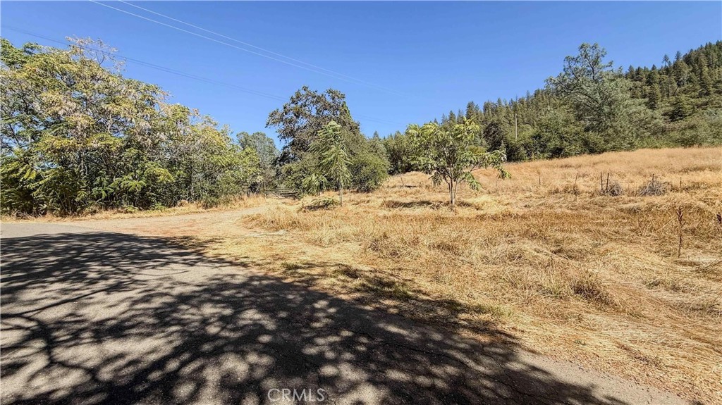 16125 Vierra Road Rackerby, CA 95972 - Photo 18 of 43 Gallery Image 18
