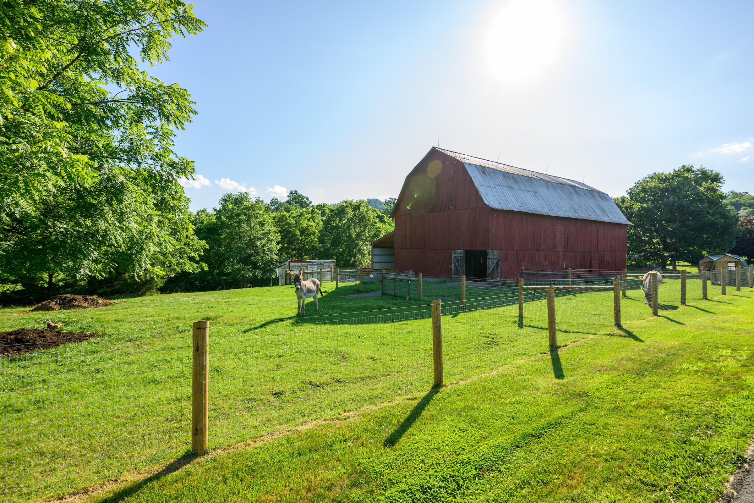 2704 Stone House Road Caldwell, WV 24925 - Photo 90 of 94 Gallery Image 90