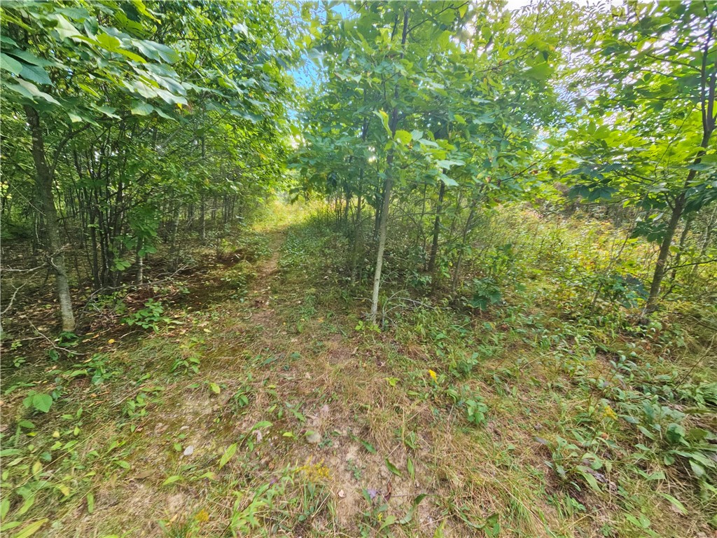8237 Ford Road Pulteney, NY 14418 - Photo 38 of 48 Gallery Image 38