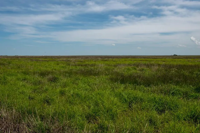 $670,700 | 176.5 Ac Fm 1705 Canyon, Happy, TX 79042