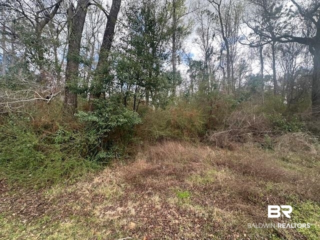 0 Jessie Road Daphne, AL 36527 - Photo 2 of 3 View of local wilderness