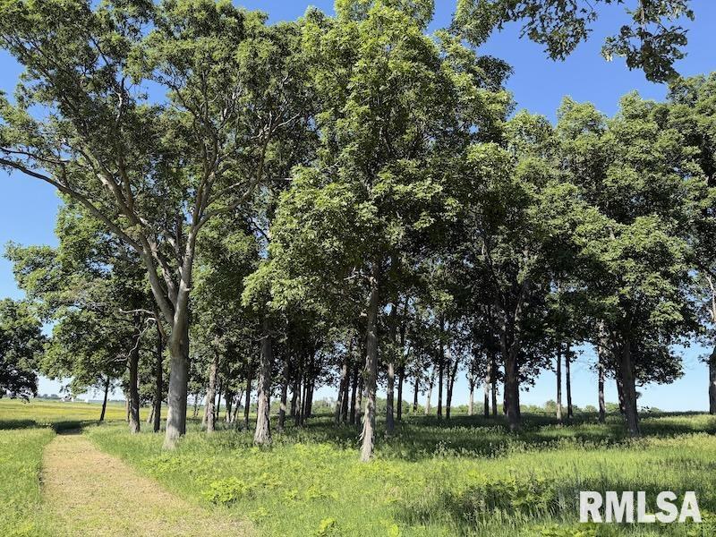 596 East 2250th Road Westfield, IL 62474 - Photo 21 of 61