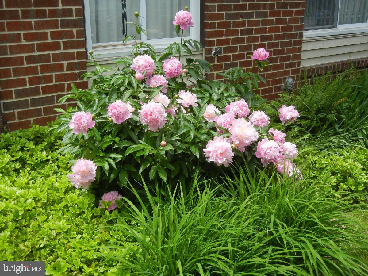 23 Strabane Court Baltimore, MD 21234 - Photo 37 of 39 Gallery Image 37