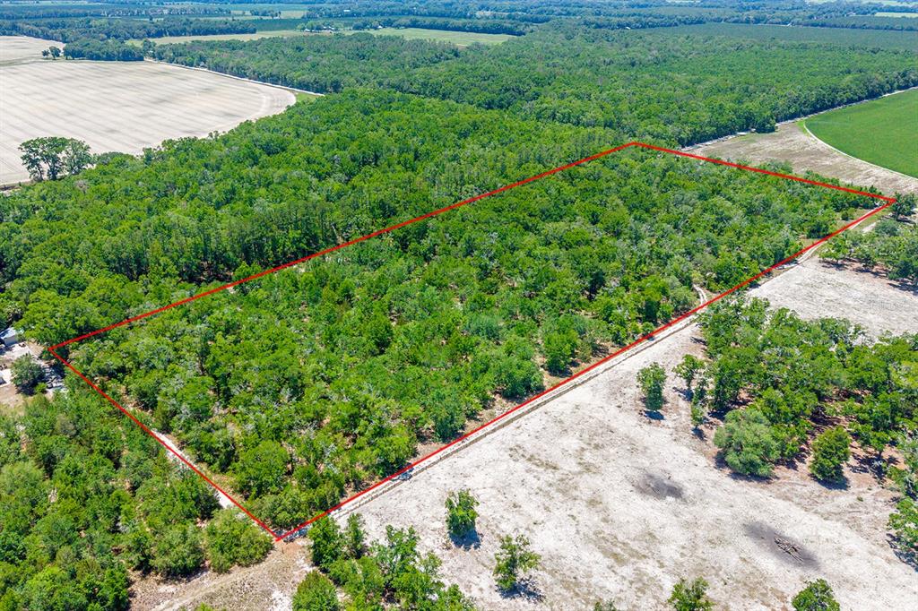 Tbd Northwest 40th Avenue Bell, FL 32619 - Photo 4 of 4