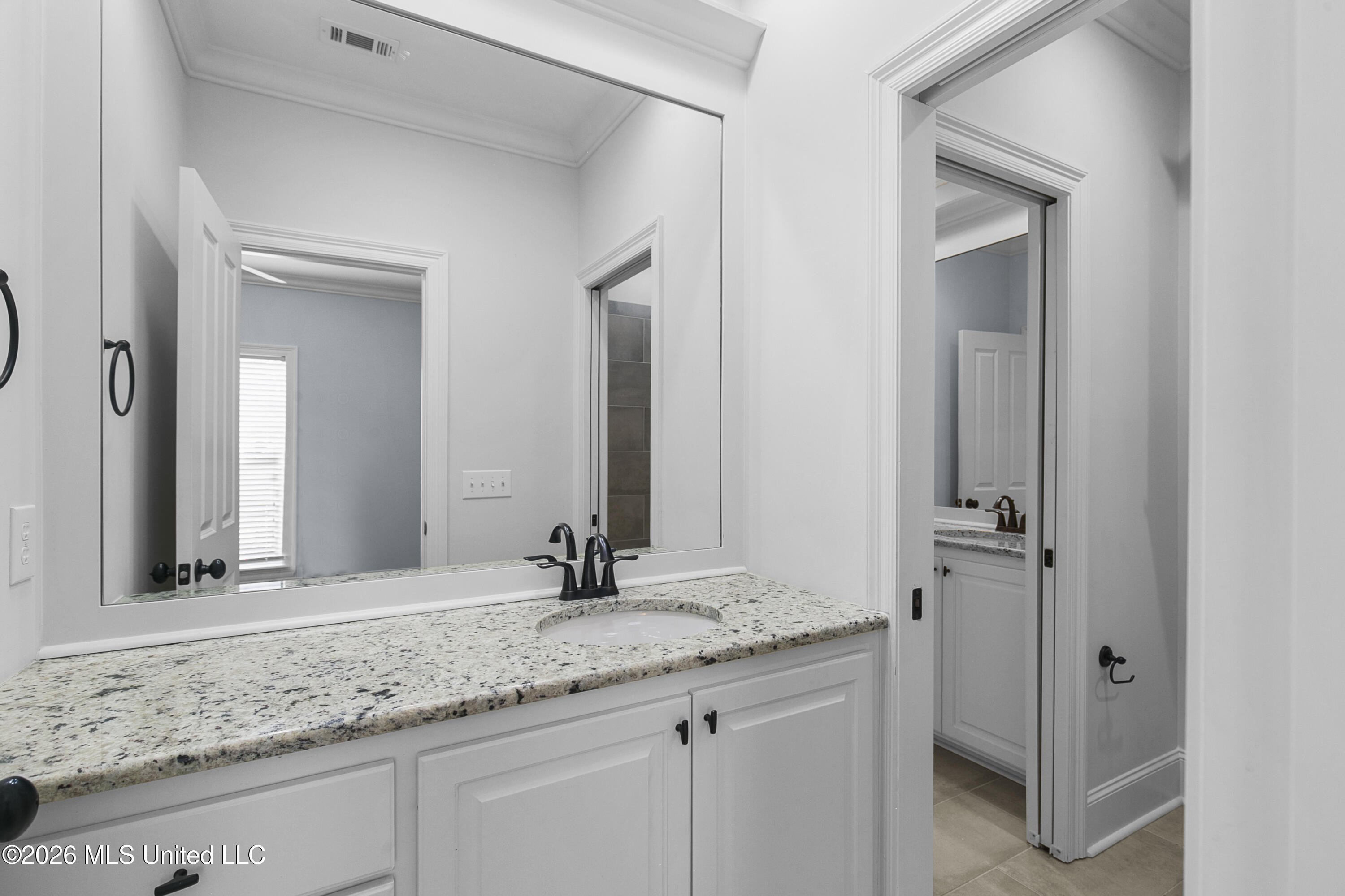 113 Wingtip Cove Madison, MS 39110 - Photo 53 of 69 113 Wingtip-53