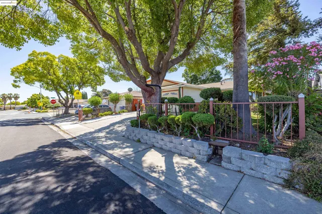 a view of a backyard with tree
