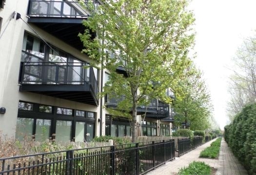 a front view of house with outdoor space and trees