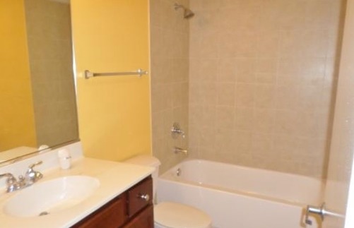 1151 West 15th Street, Unit 104 Chicago, IL 60608 - Photo 8 of 9 a bathroom with a tub sink vanity and a mirror