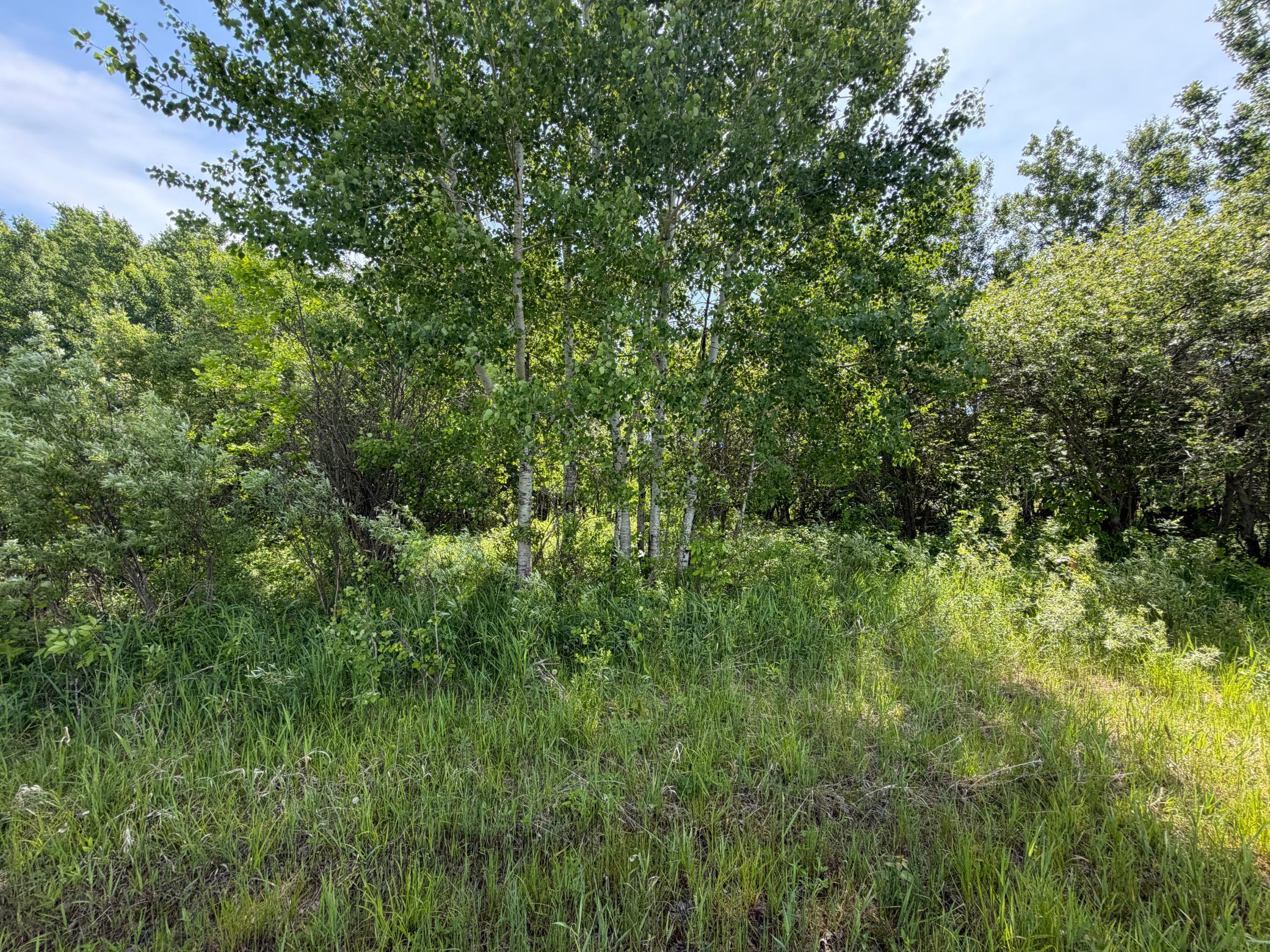 Tbd-b 180th Street Milaca, MN 56353 - Photo 8 of 80
