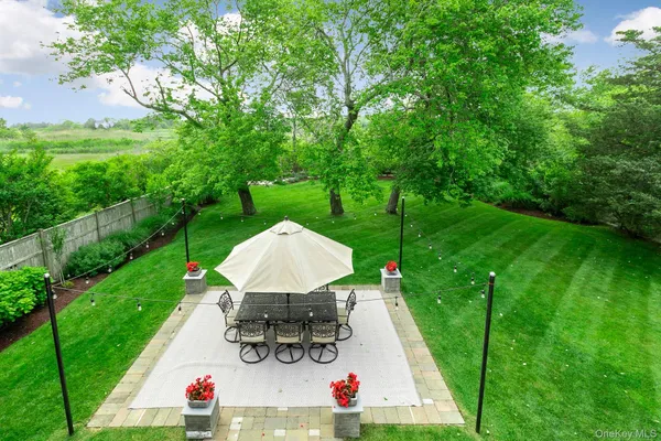 a view of a park with large trees