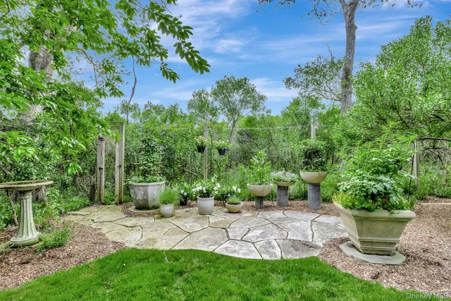 a view of a backyard with potted plants and large trees
