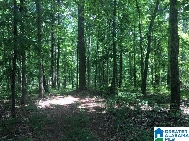 5001 Greathouse Road, Unit 1 Dora, AL 35062 - Photo 5 of 6