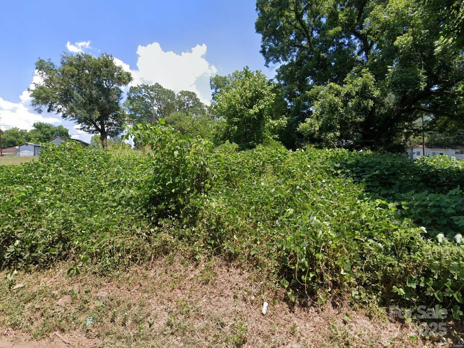 65 Walnut Street Great Falls, SC 29055 - Photo 2 of 3 a view of a bunch of trees