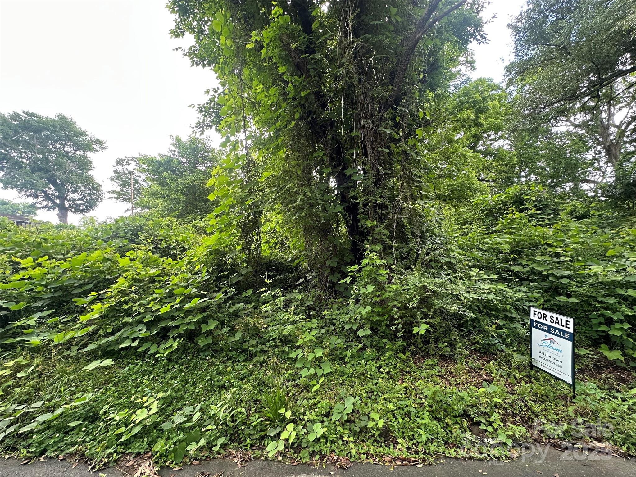 65 Walnut Street Great Falls, SC 29055 - Photo 3 of 3 a aerial view of a forest with houses