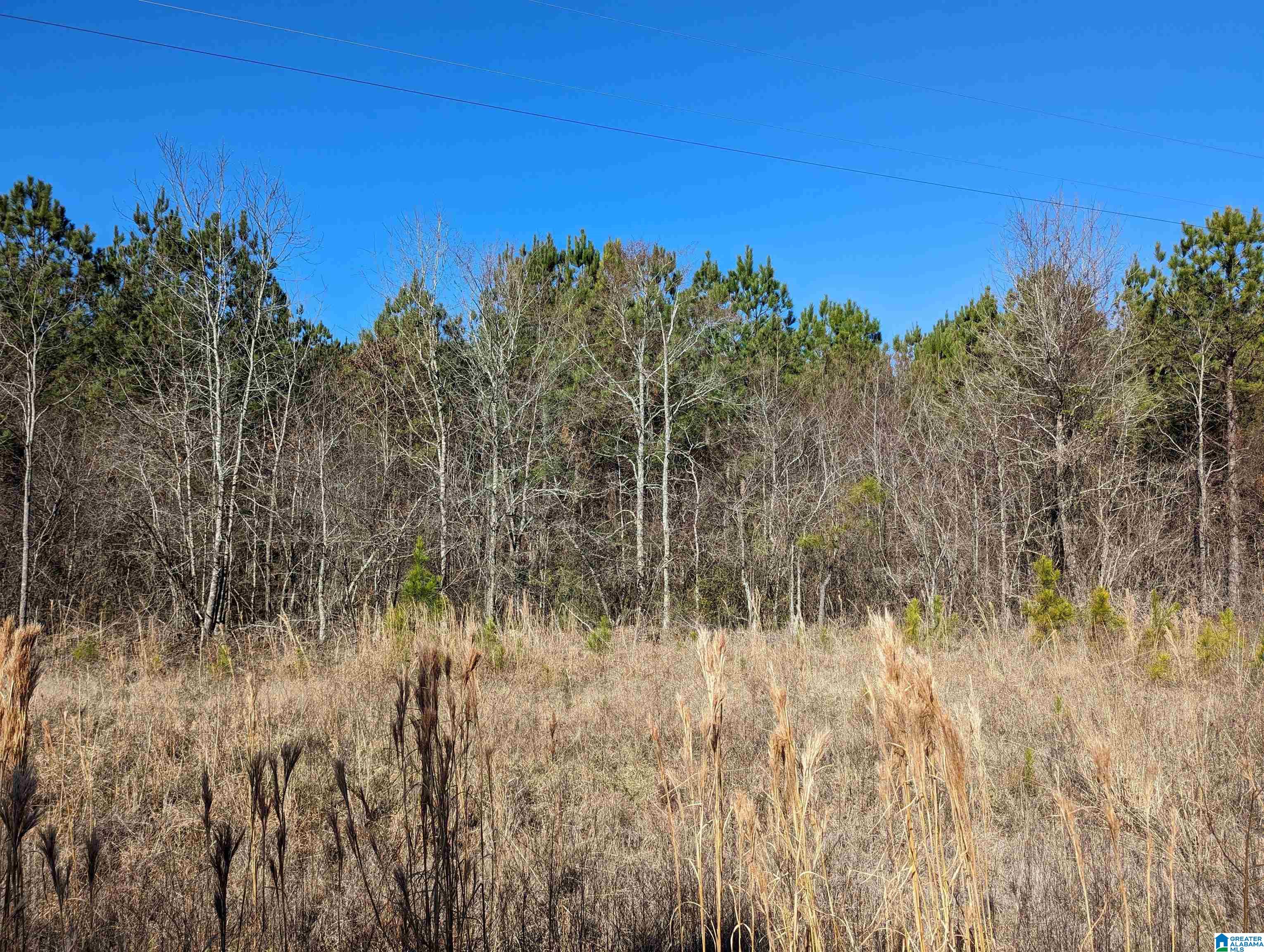 0 Chandler Springs Road Talladega, AL 35160 - Photo 27 of 35