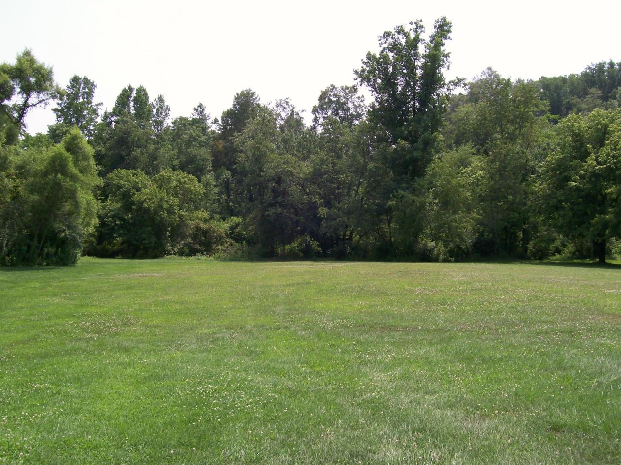 207 Farmington Road Hardy, VA 24101 - Photo 5 of 18 a view of a field with trees
