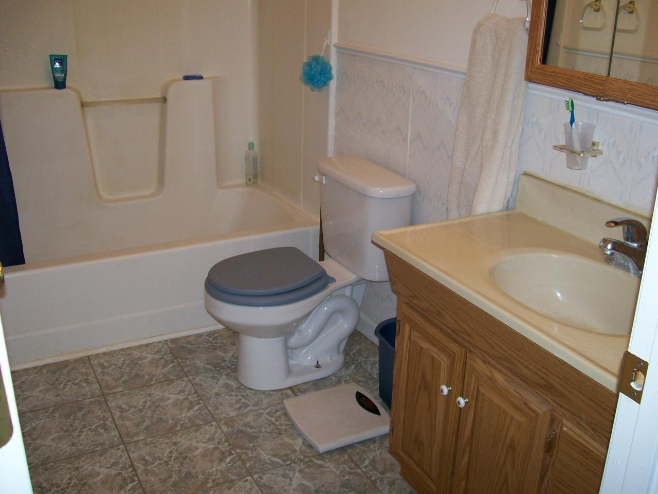 207 Farmington Road Hardy, VA 24101 - Photo 9 of 18 a bathroom with a sink toilet and a mirror