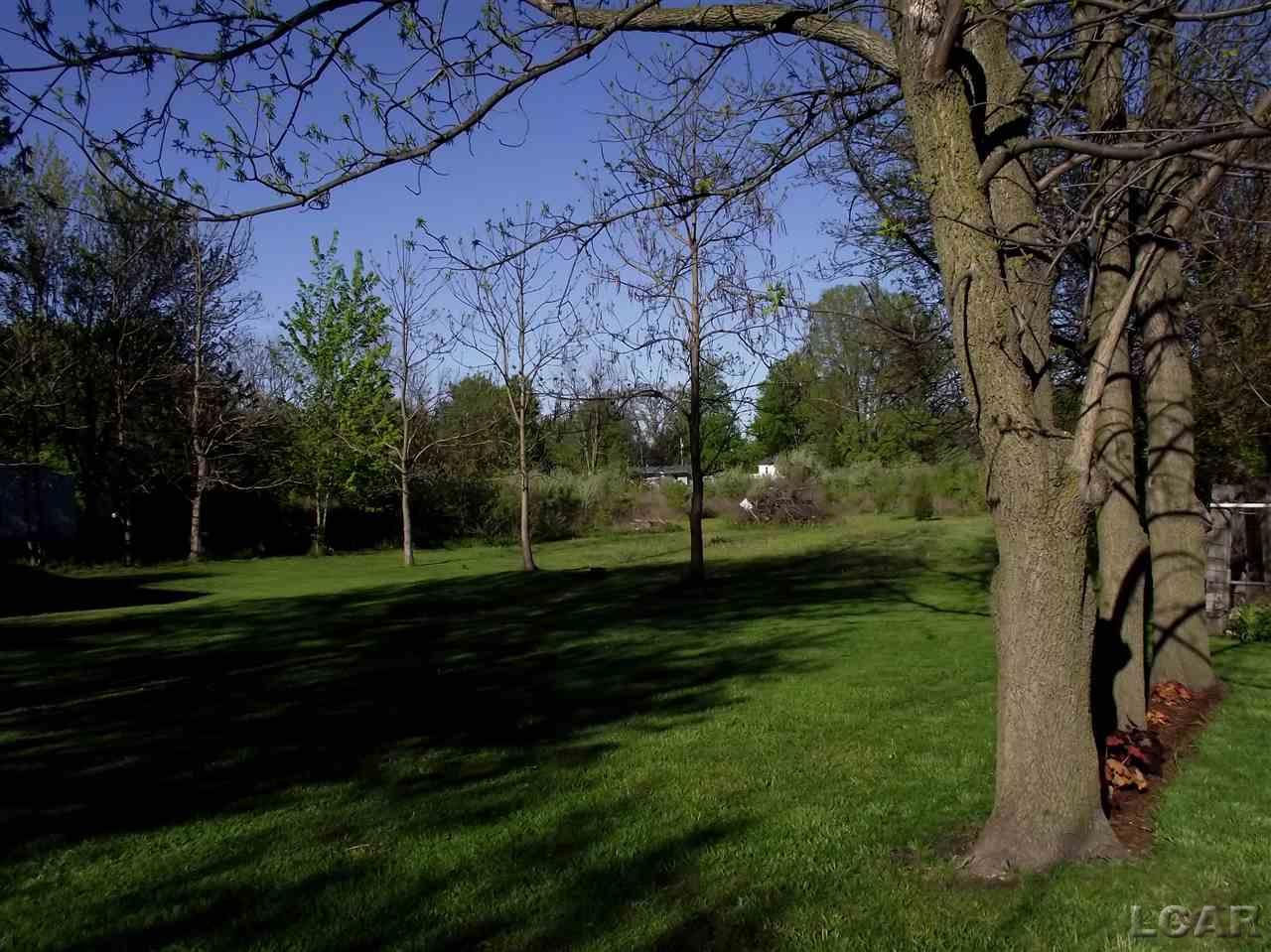 6937 Ridge Highway Britton, MI 49229 - Photo 18 of 18
