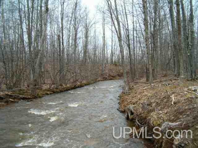 A & B-1 Bolo Road, Unit A & B1 Ontonagon, MI 49953 - Photo 4 of 6