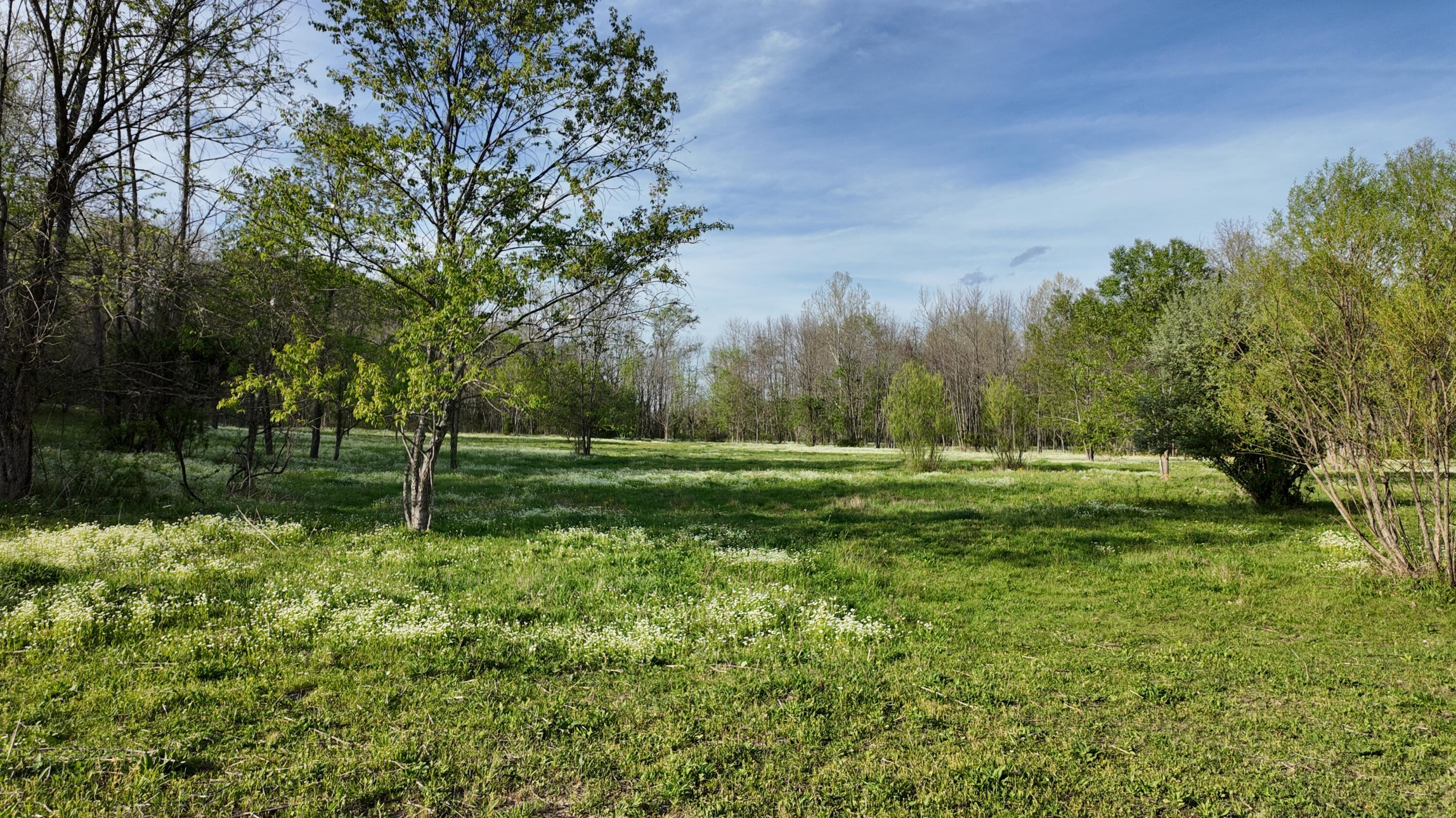8586 Stulltown Road Owingsville, KY 40360 - Photo 65 of 74 DJI_20260415181422_0231_D