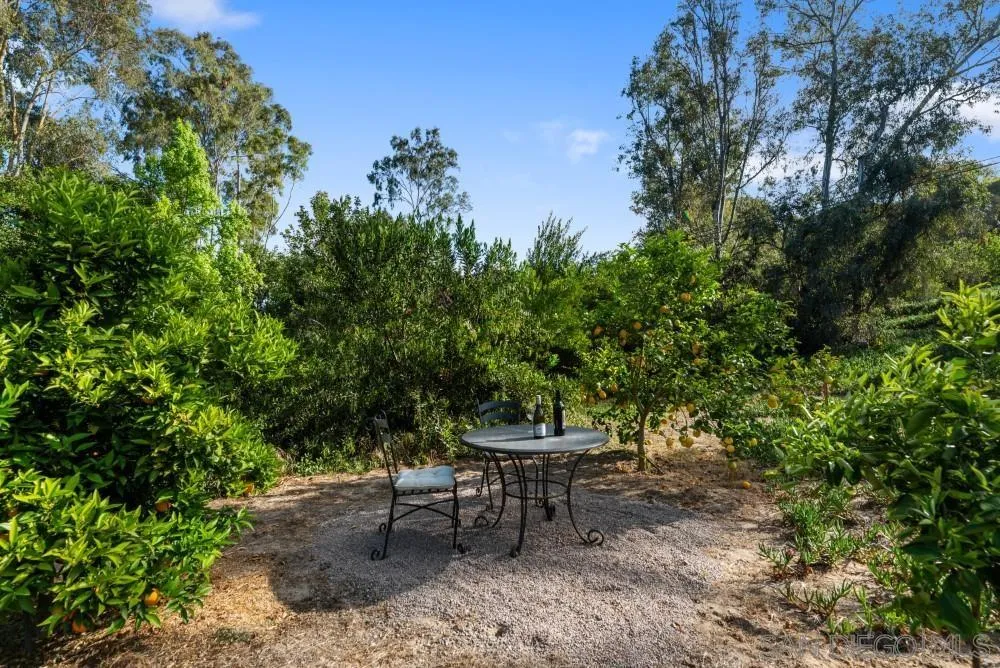 16919 Reposa Alta Rancho Santa Fe, CA 92067 - Photo 40 of 51 a backyard of a house with outdoor seating