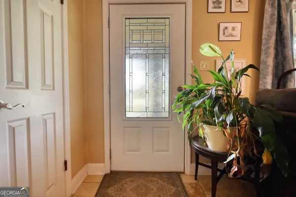 a potted plant sitting in front of a door