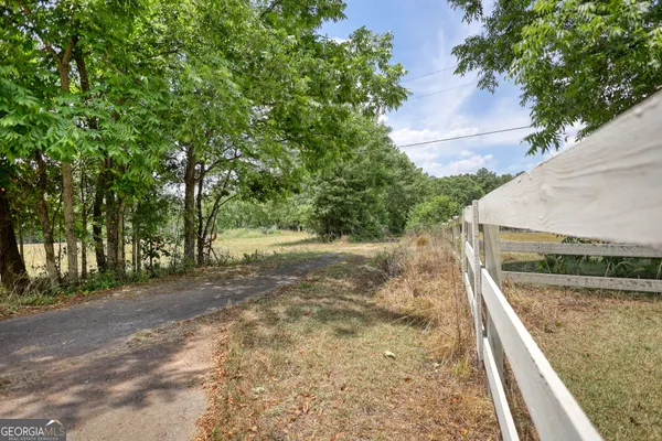 a view of a yard with trees