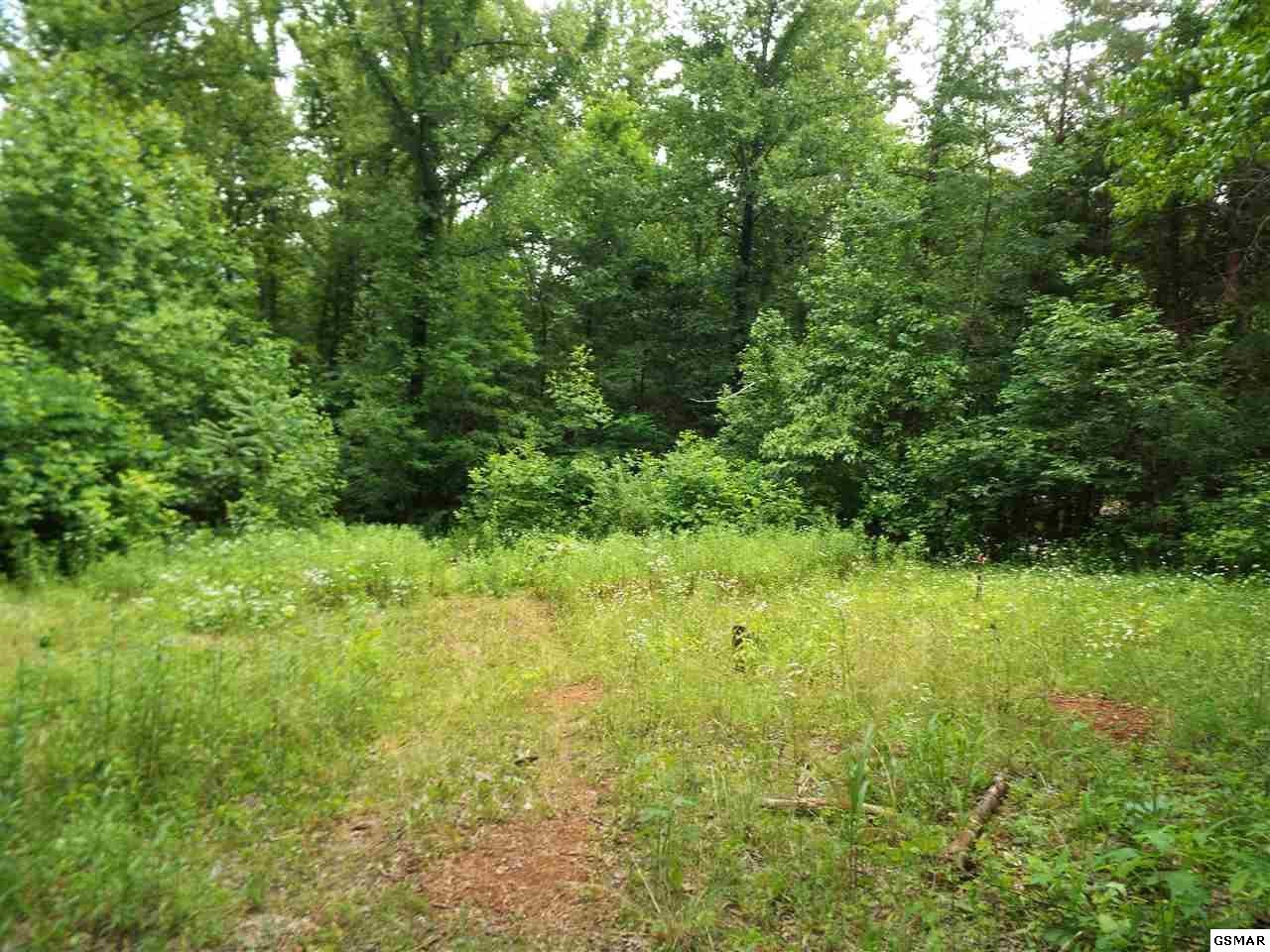 24262432 Dairy Road Cosby, TN 37722 - Photo 4 of 11 Gallery Image 4