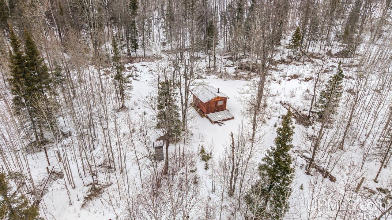 868 Pelletier Road Foster City, MI 49834 - Photo 29 of 33