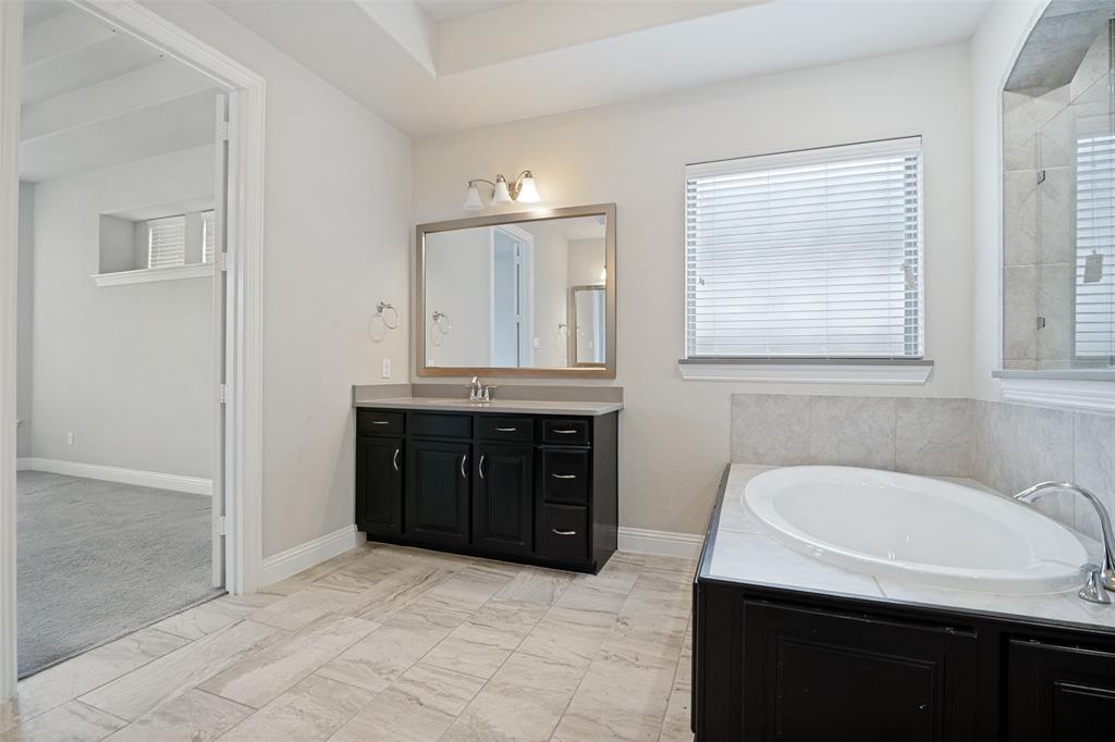 2802 Merlot Circle Rowlett, TX 75088 - Photo 22 of 40 a bathroom with a granite countertop sink and a bathtub