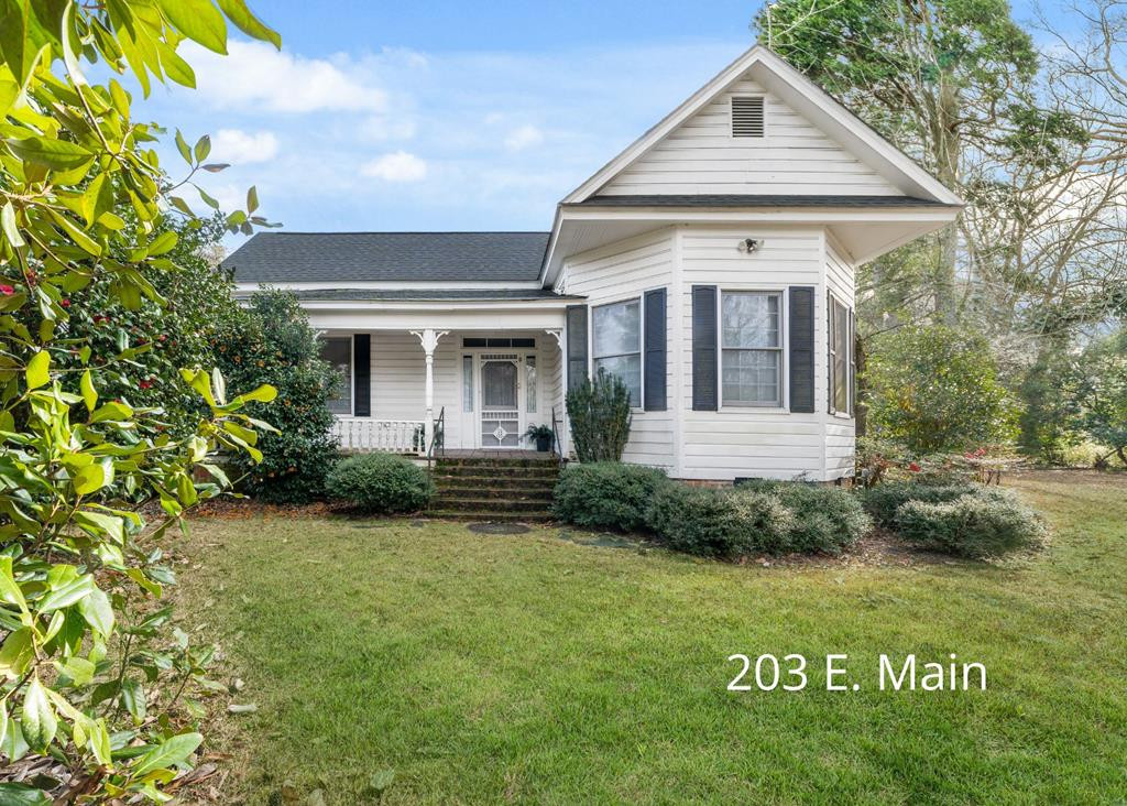 201-203 East Main Street Ridge Spring, SC 29129 - Photo 1 of 56 Main View