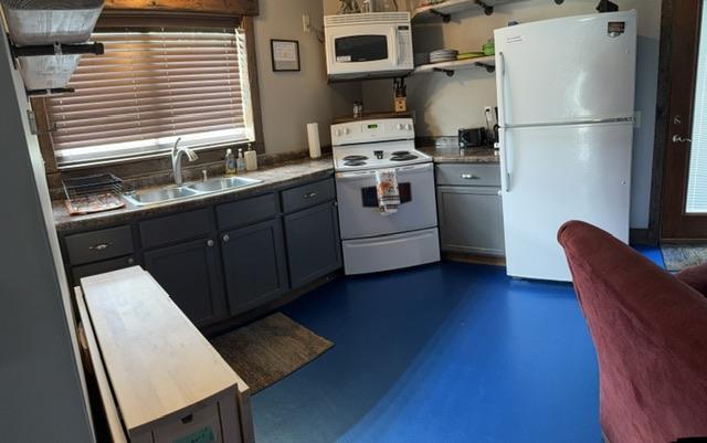 609 Prairie Street Pepin, WI 54759 - Photo 4 of 8