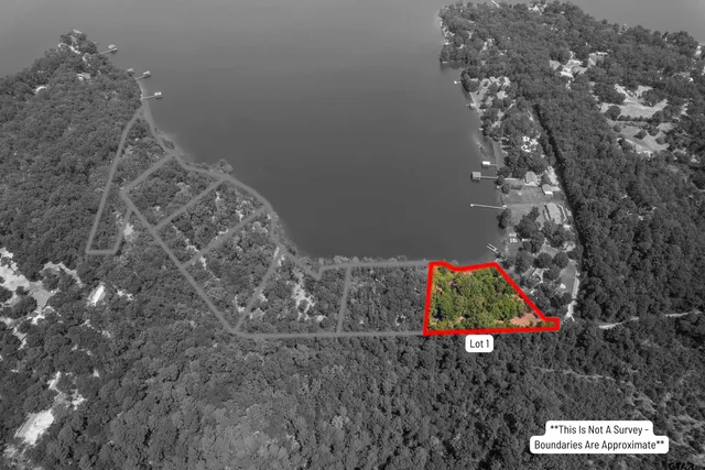 a bird view of a house