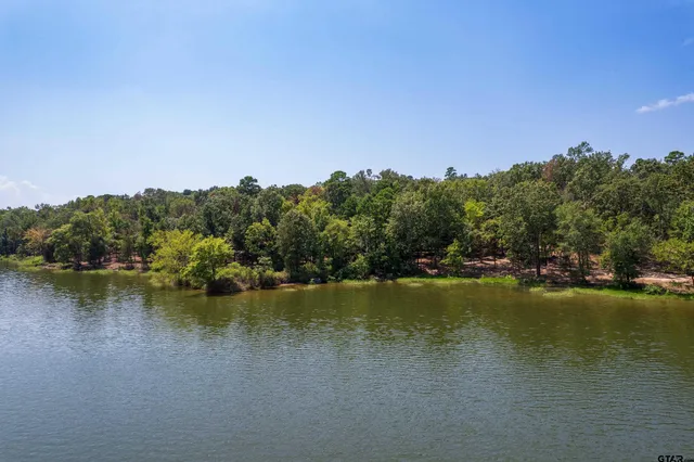 a view of a lake with houses in the back