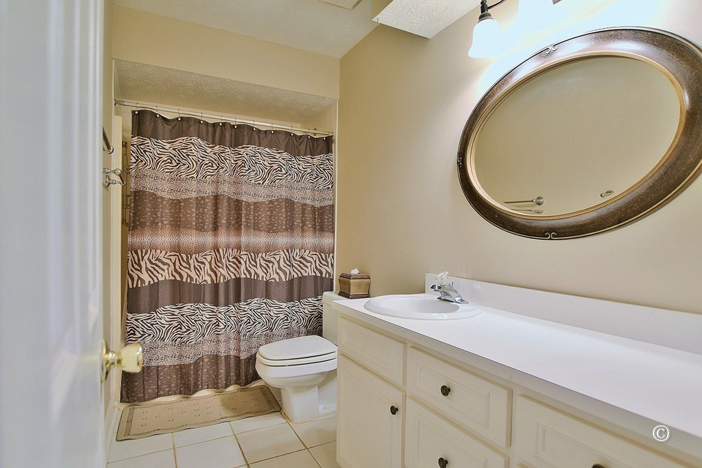 154 Meadow Lakes Dr Pine Mountain Pine Mountain, GA 31822 - Photo 12 of 47 Hall Bath