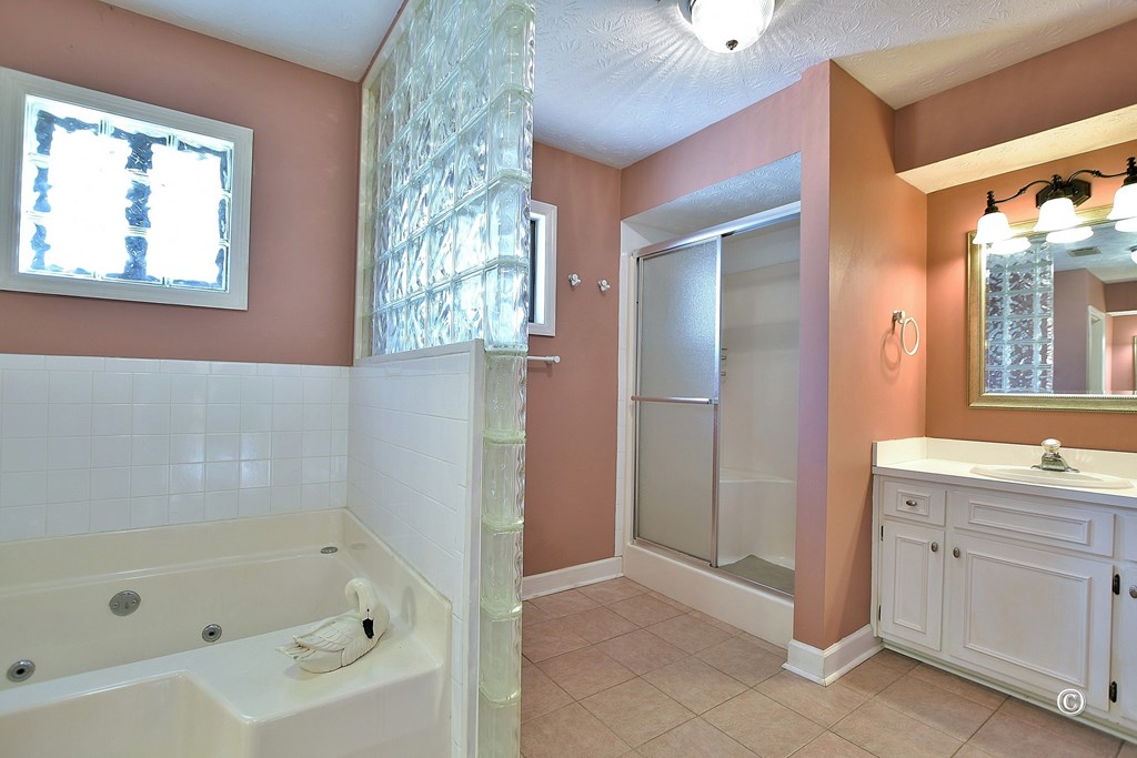 154 Meadow Lakes Dr Pine Mountain Pine Mountain, GA 31822 - Photo 19 of 47 Master Bath
